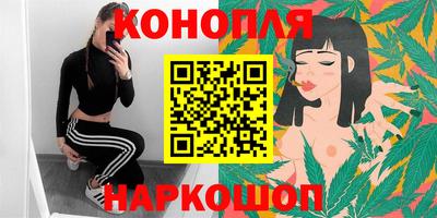 дмт Гай