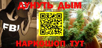 дмт Гай