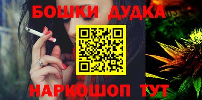 дмт Гай