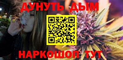 дмт Гай