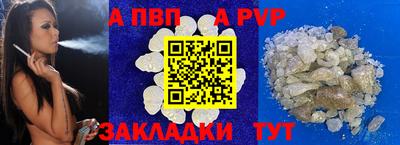 дмт Гай