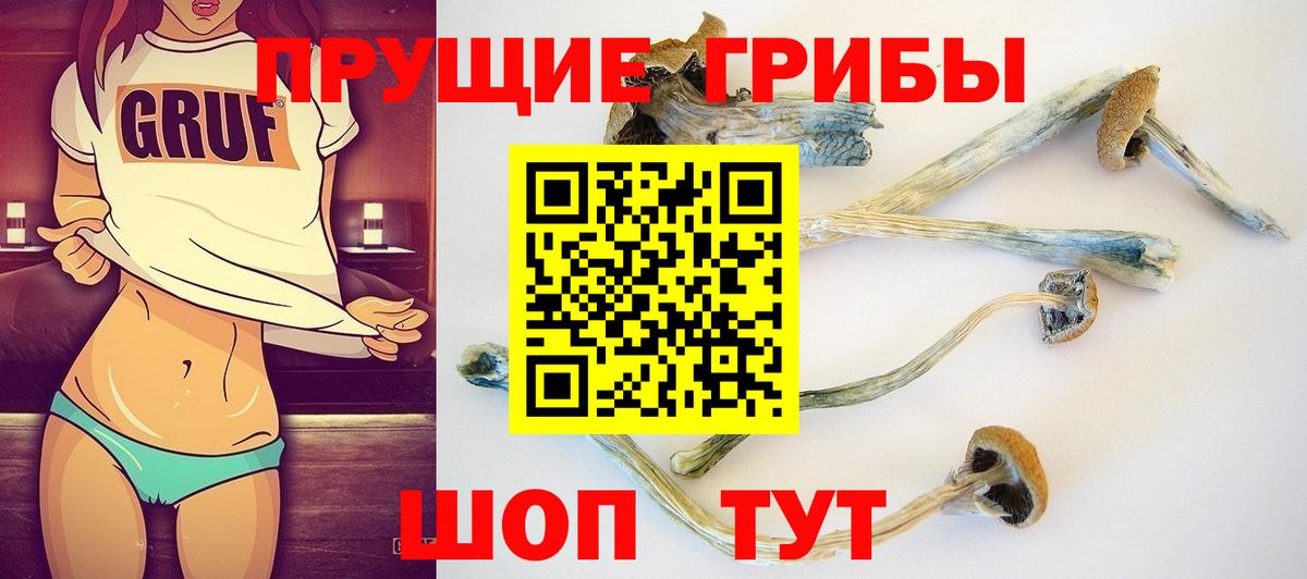 Галлюциногенные грибы Cubensis Надым